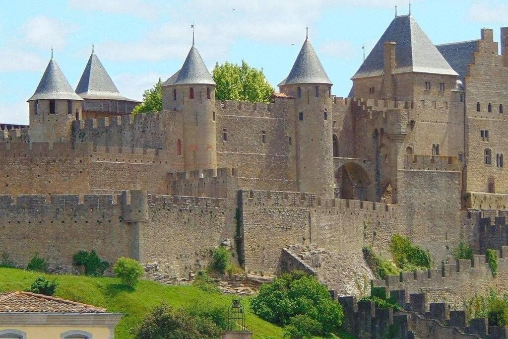 Spacieux Appartement Au Pied De La Cite Medievale Carcassonne Eksteriør bilde