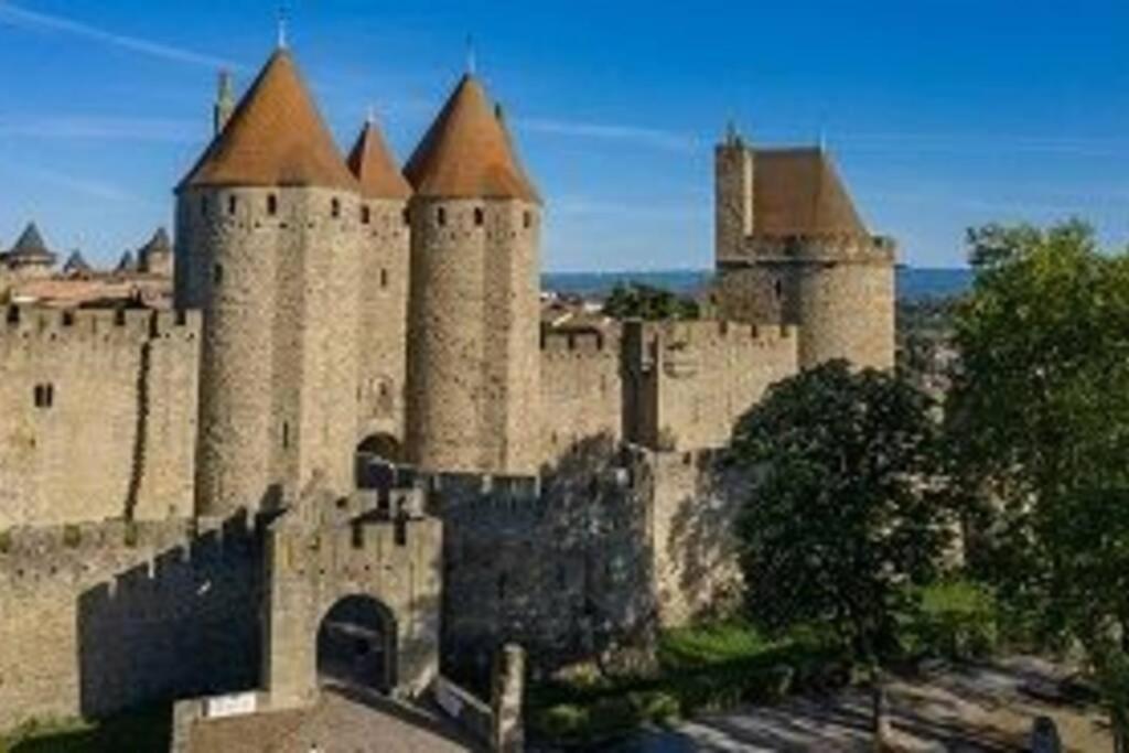 Spacieux Appartement Au Pied De La Cite Medievale Carcassonne Eksteriør bilde